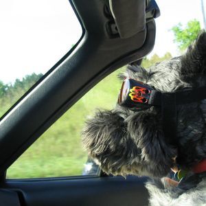 Meet your Posher, Lori